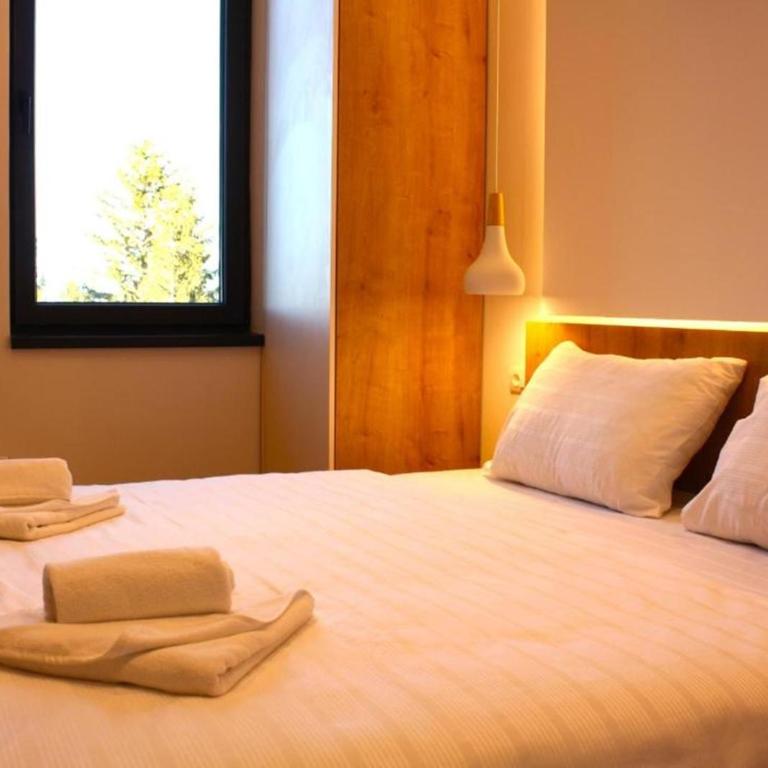 Snowtime Zlatni Javor 407 - One Bedroom Apartment with Mountain View - 9