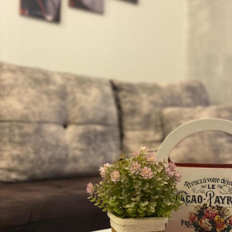 Castello apartman Kopaonik Kraljevi Cardaci komplex - Apartman sa 1 Spavaćom Sobom - 10