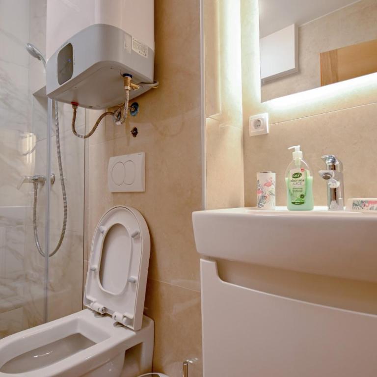 Grand Apartment Lučić - Apartment - 9