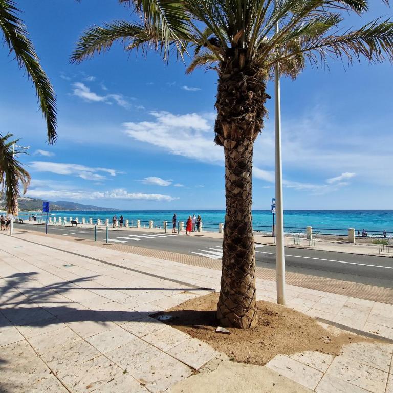 Le 182 promenade du soleil - Appartement 1 Chambre - 16