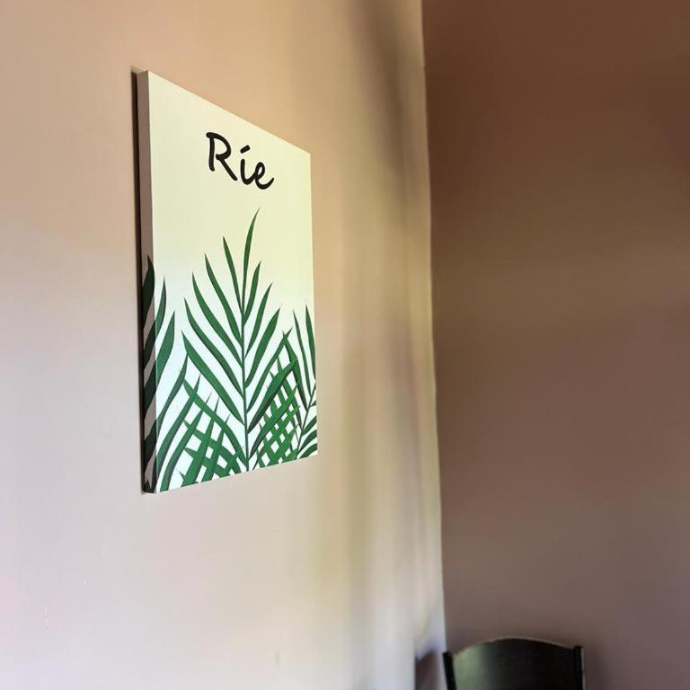 LA SELVA MONOAMBIENTES - One-Bedroom Apartment - 12