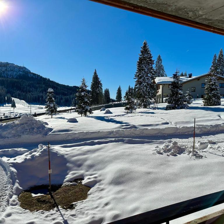 Bilocale Rio Falzè - Serafini - Appartamento con 1 Camera da Letto - 2