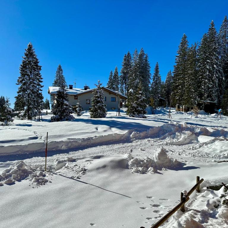 Bilocale Rio Falzè - Serafini - Appartamento con 1 Camera da Letto - 13