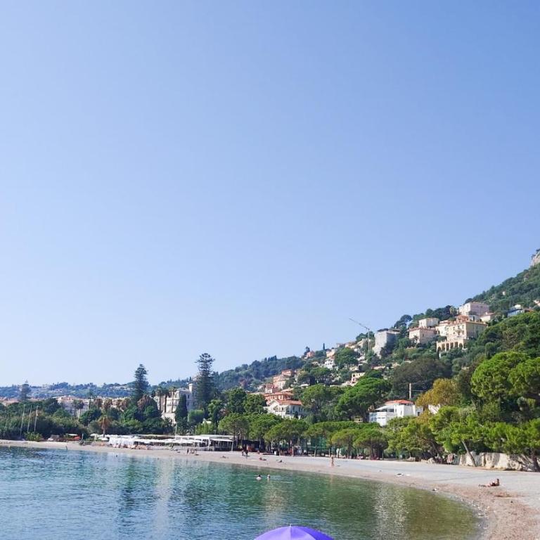 L'apparté Marinoni Classé-Climatisé-WIFI-Mer - Studio - 35