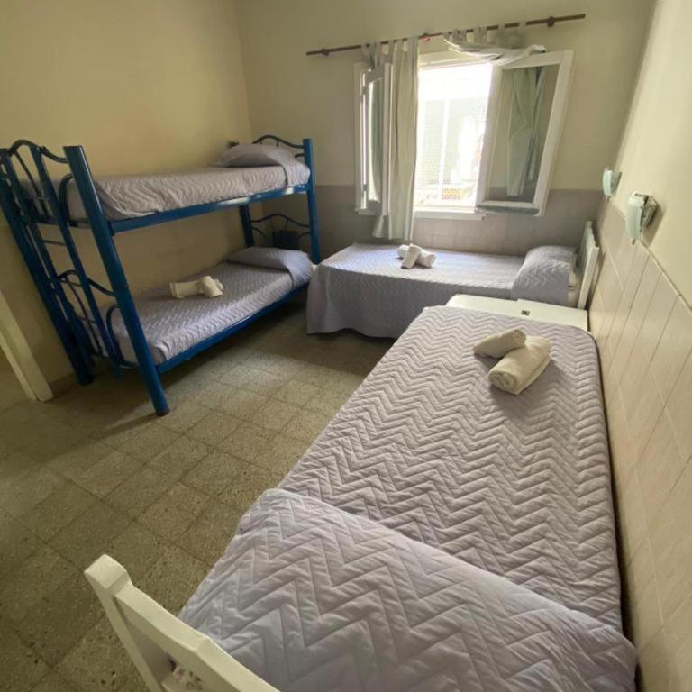Verona Hostel - Single Bed in Dormitory Room - 1