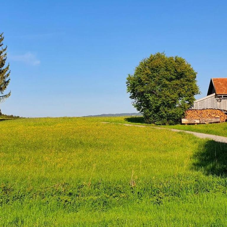 Lechbruck am See Feriendorf Hochbergle Haus 1 - Ferienhaus - 13