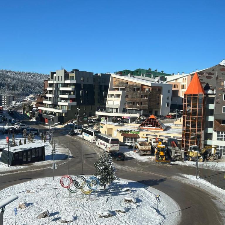 Apartment Bjelašnica 8 - Garage parking included - Apartman sa 1 Spavaćom Sobom - 1