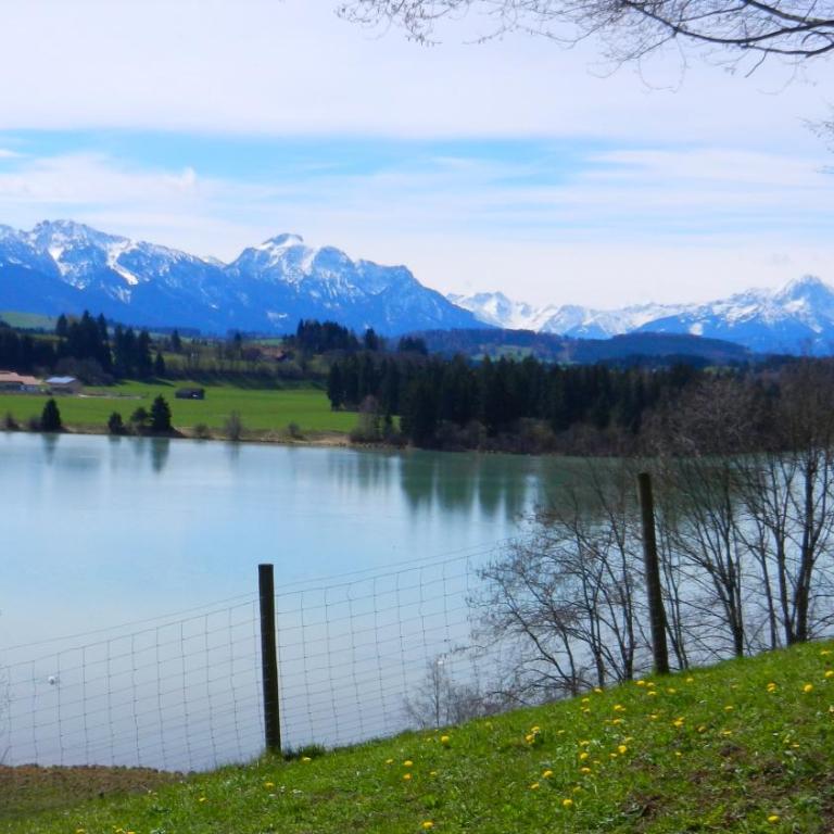 Lechbruck am See Feriendorf Hochbergle Haus 139 - Ferienhaus - 1