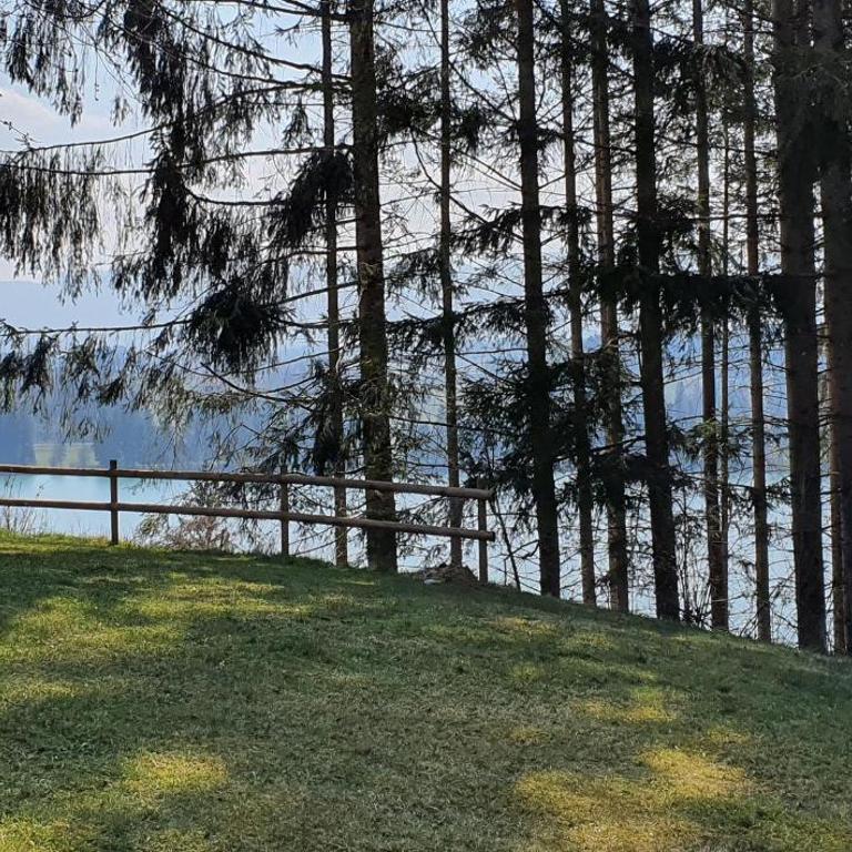 Lechbruck am See Feriendorf Hochbergle Haus 23 - Ferienhaus - 15