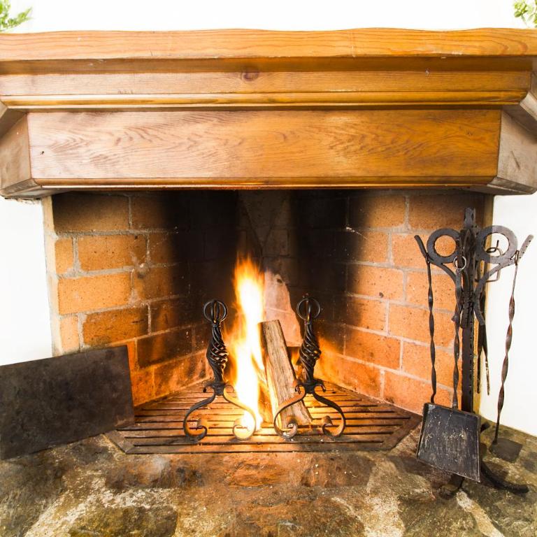 Tarter Chalets Apartaments - Two Bedroom Rustic Apartment with a Fireplace - 11