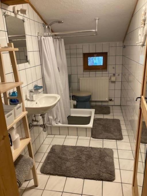 Große schöne Mansardenwohnung mit 2 Balkonen - Two-Bedroom Apartment - 26