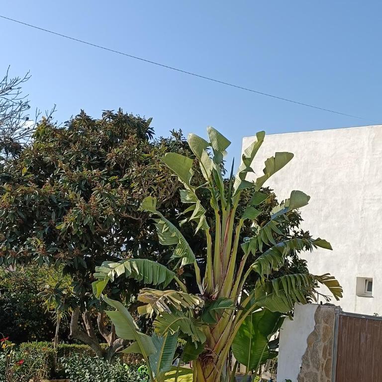 Pueblos blancos - Apartamento con vistas al jardín - 7