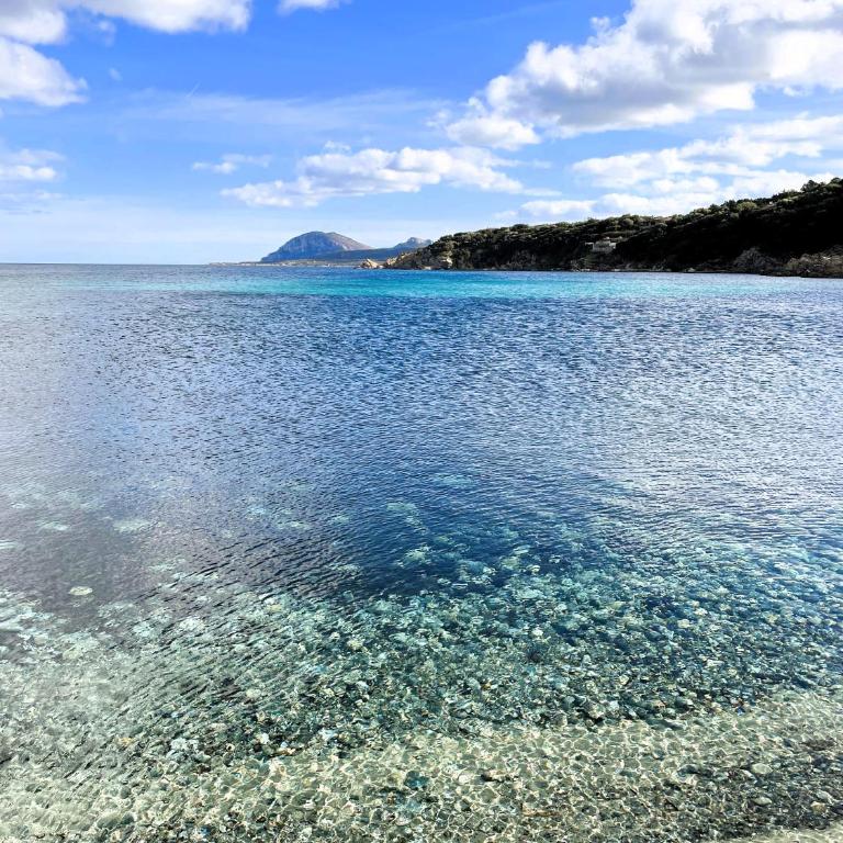 Splendida vista mare zona centrale Porto Rotondo posto auto privato - Appartamento con 2 Camere da Letto - 63