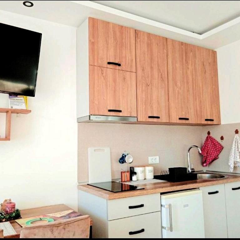 Wolf Apartments Kopaonik - Porodični Studio - 5