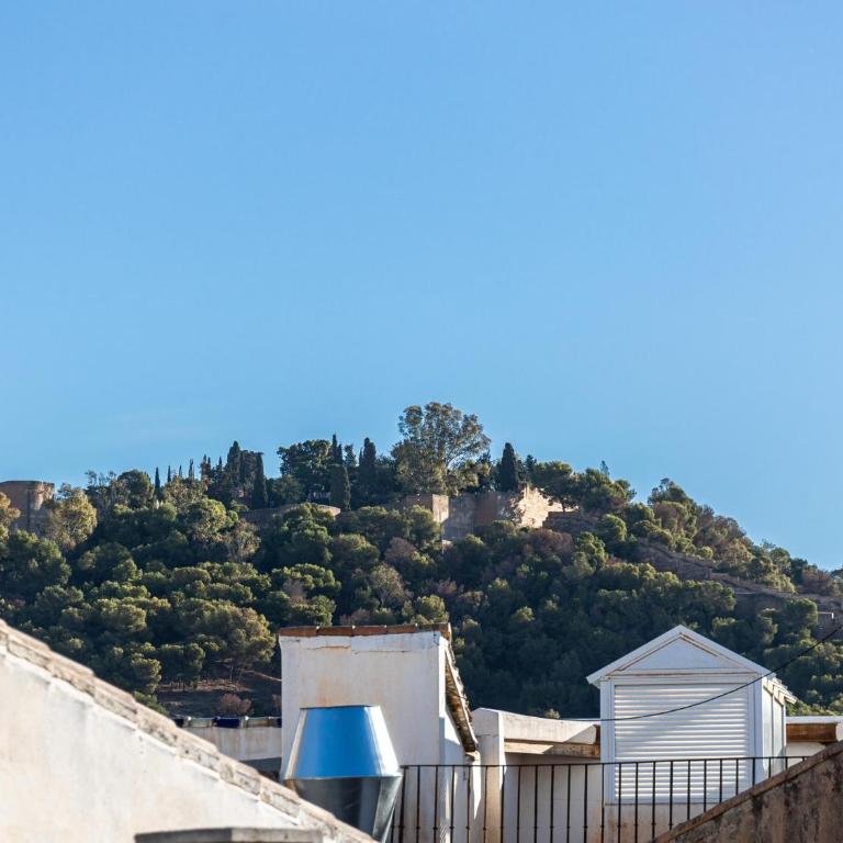 H2M Lazcano with sunny terrace in old town - Apartamento - 20