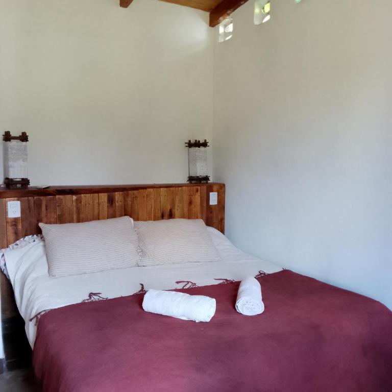 Granja La Lechuza Ecolodge - Casa - 3
