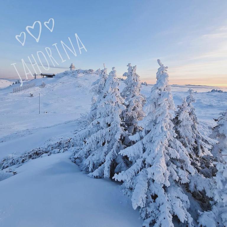 Beggy Jahorina - Apartman sa 1 Spavaćom Sobom - 22
