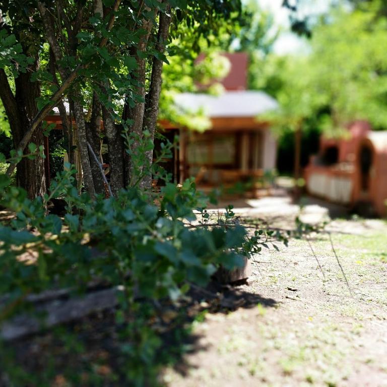 La Salamdra - Casa - 4