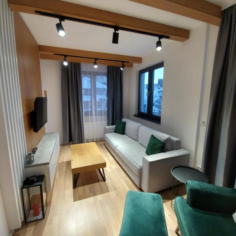Apartman Djordje-vila Montana - Apartman sa 1 Spavaćom Sobom - 1