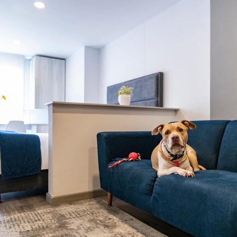 Torre Ventto Lofts By Jalo - Apartment - 17