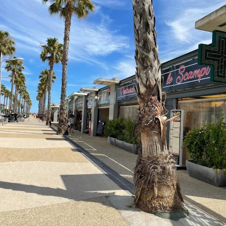Le Petit Bora-Marseillan Plage -Residence Bora Bora-400m plage d'honneur - Appartement 2 Chambres - 46