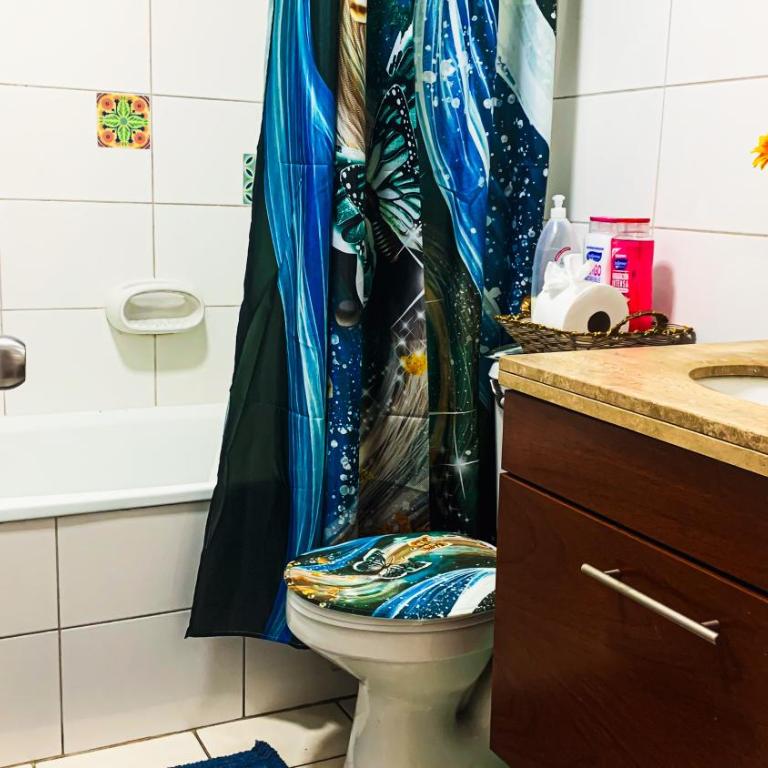 Depto metro Santa Ana 8 (2 dormitorios) - Apartamento de 2 dormitorios - 13