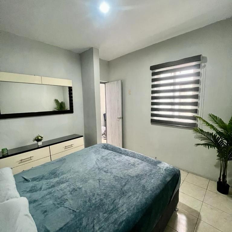 Mercuri house - Apartamento de 1 dormitorio - 5