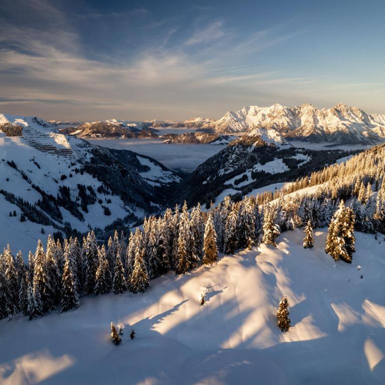 Lavender Hill - Summer holiday & ski villa chalet - Chalet - 63