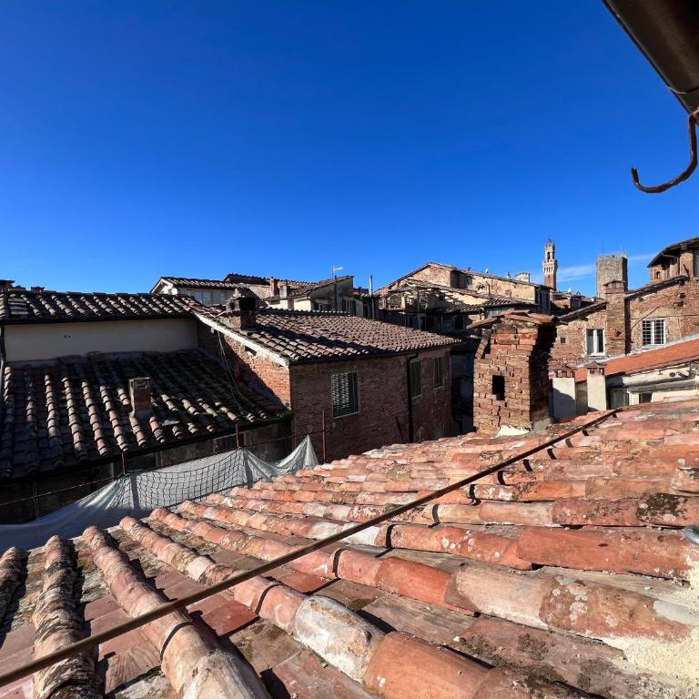 Colibri - One-Bedroom Apartment - 25