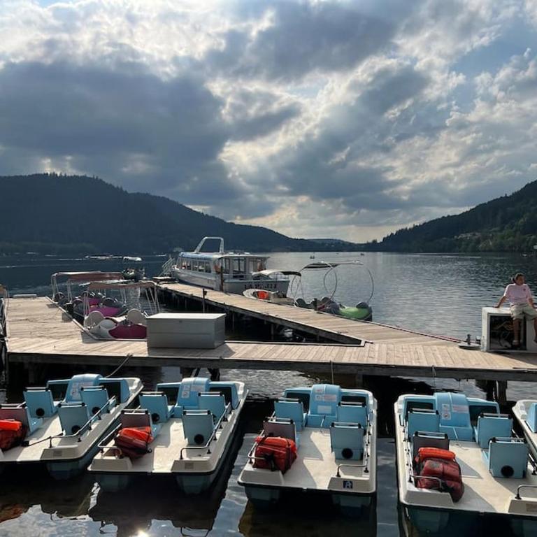 O' Chênes Rouges GERARDMER - 4-6 pers avec terrasse vue lac et montagne - Maison 1 Chambre - 28