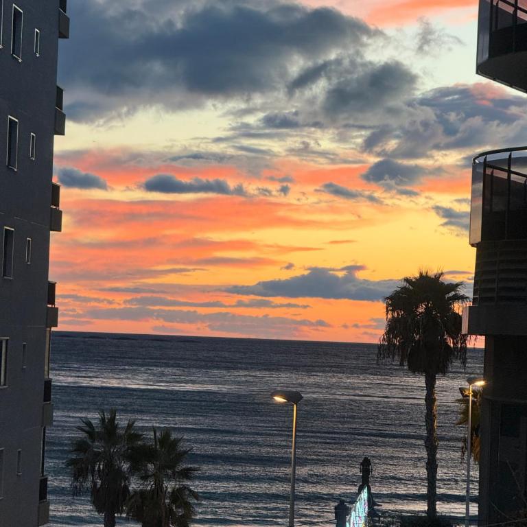 Apartamento Calpe - Apartamento de 1 dormitorio - 1