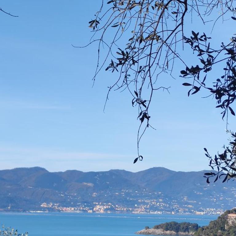 Campeggio Gianna Golfo dei Poeti - Camera Matrimoniale con Vista Mare - 22