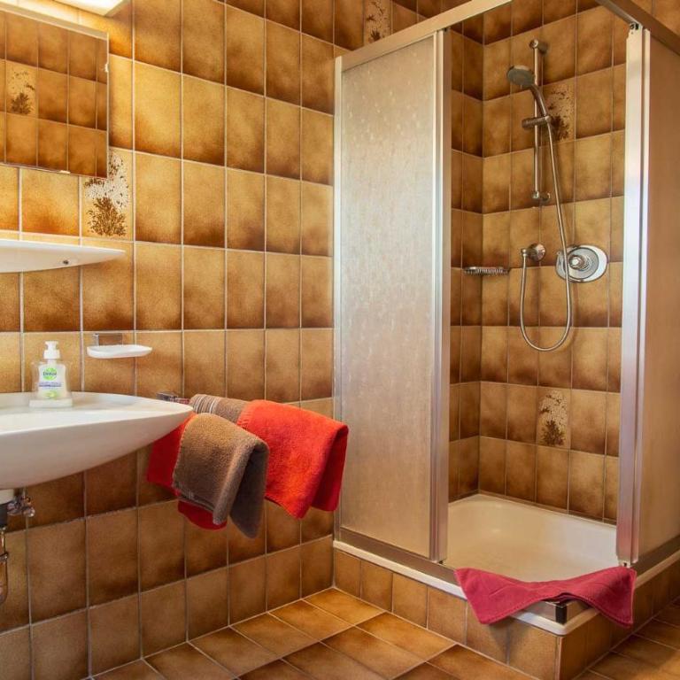 Pension Riese - Apartment mit 1 Schlafzimmer, Balkon und Bergblick - 5