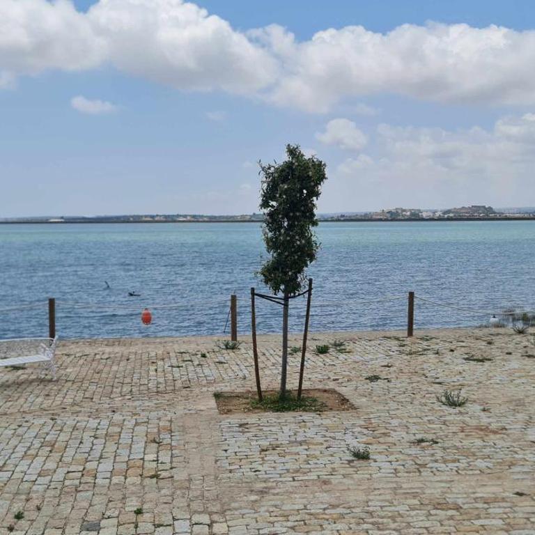 Why Not Houses Río - Three-Bedroom Apartment with Three-Bedroom Apartment with River View - 34