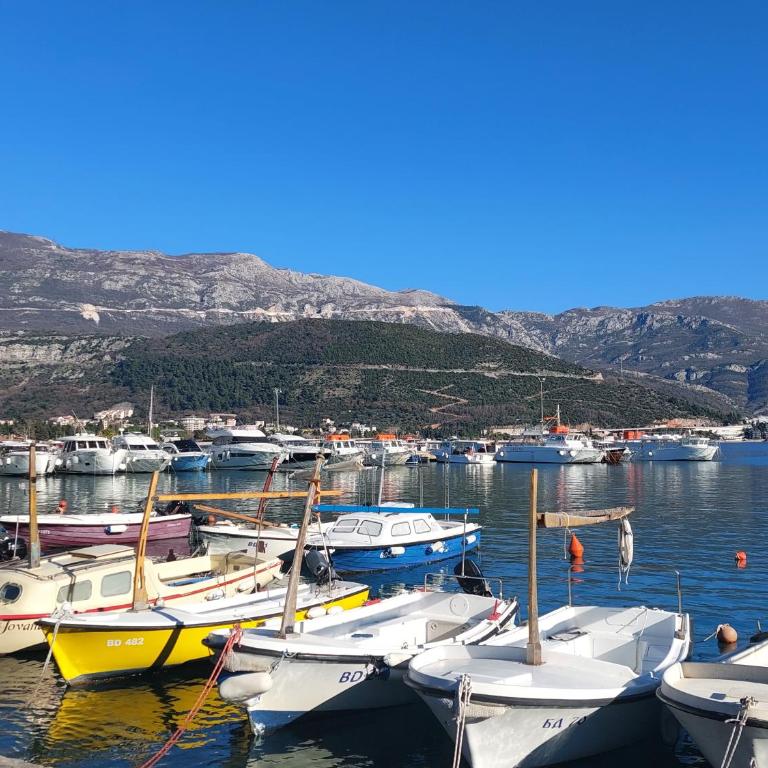 Nice apartment near Old Town and sea - Studio Apartman sa Pogledom na More - 29