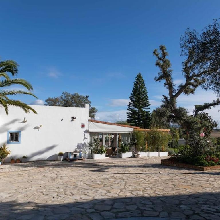 Soul Casas - Casa de 3 dormitorios - 15