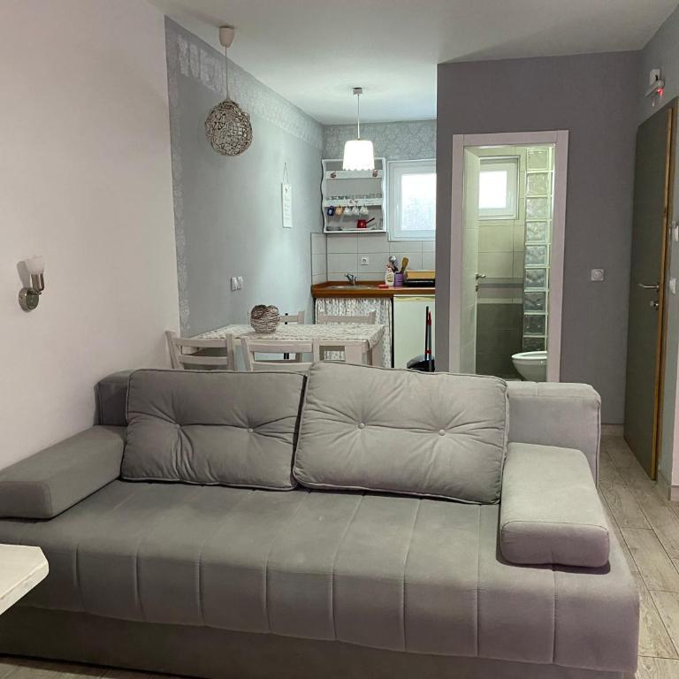 Smestaj Milovanovic - Studio sa Pogledom na Bazen - 6