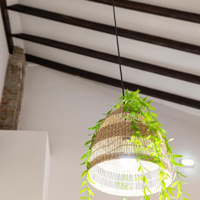 Apartamento Jazmín - Apartamento de 2 dormitorios - 14