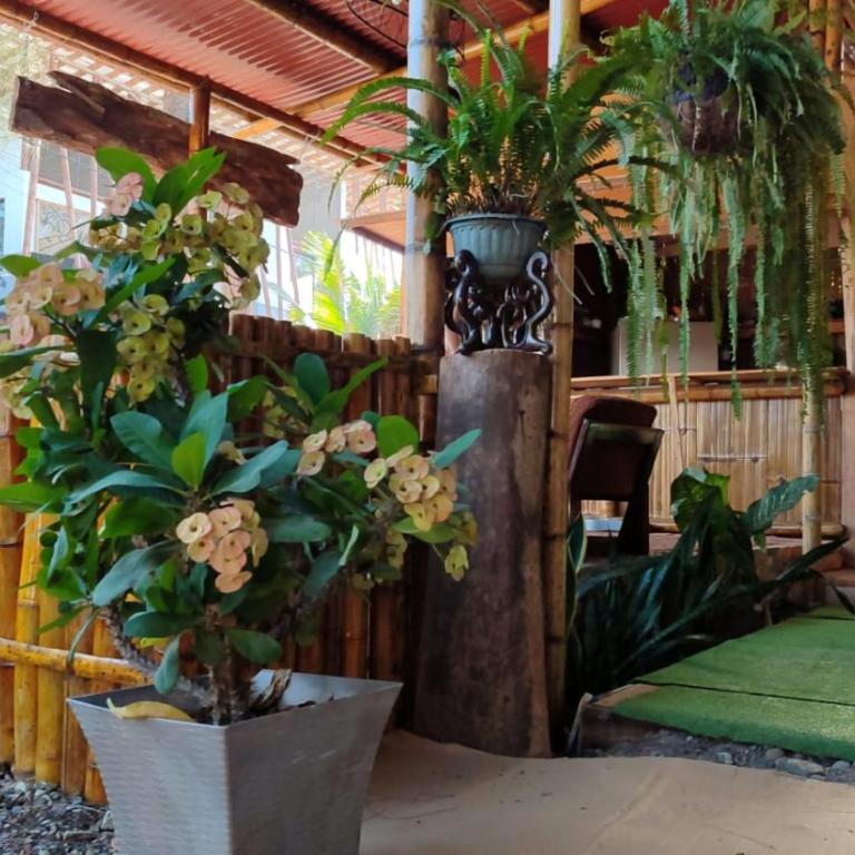 Casa travesia - Suite con vistas al jardín - 1