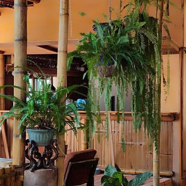 Casa travesia - Suite con vistas al jardín - 8