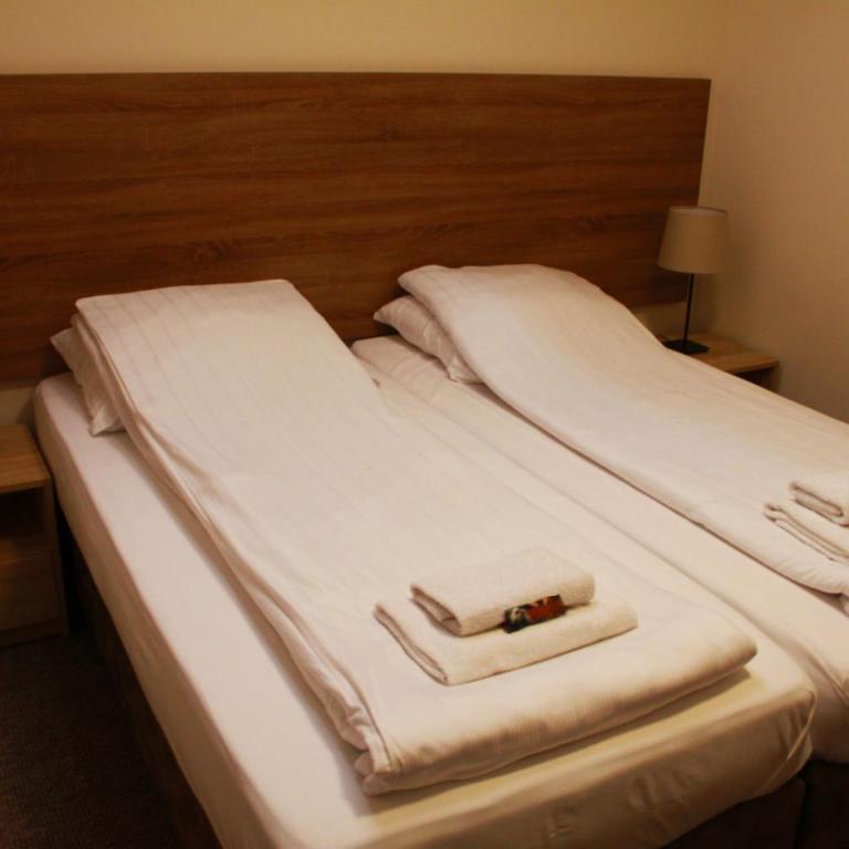 Vila Astonia - Twin Room with Bathroom - 5
