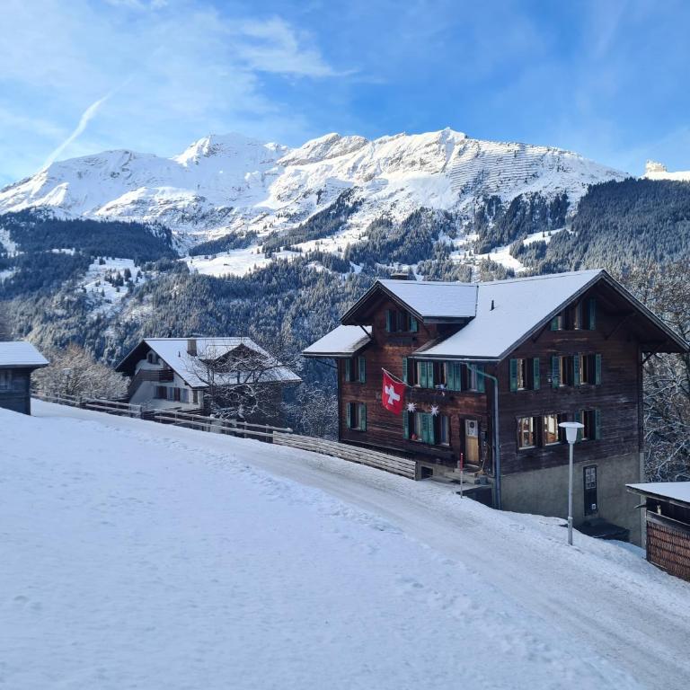 Traditional Ski Chalet in Wengen - Top Floor - Apartment mit 1 Schlafzimmer - 2