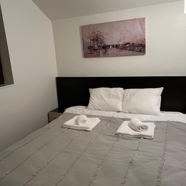 Apartman Treska Kop - One-Bedroom Apartment - 5