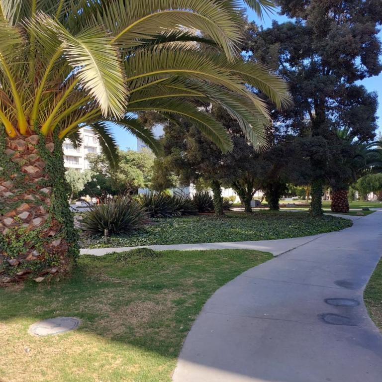 ARRIENDO DEPARTAMENTO DIARIO en LA SERENA CONDOMINIO AREAS VERDES, PISCINAS, ESTACIONAMIENTO, ETC - Apartamento de 2 dormitorios - 16