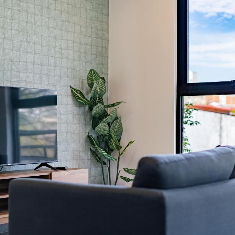 Doctores Apartments by VH - Studio Apartment - 15