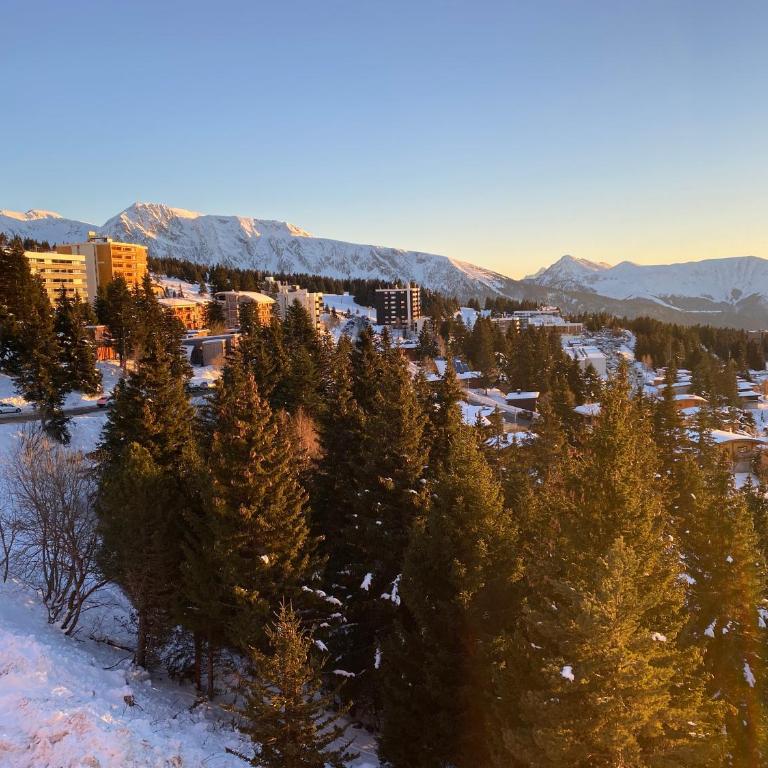 Les Balcons d'Edelweiss - Appartement 1 Chambre - 1