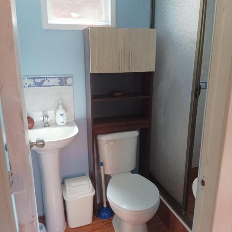 Cabaña los boldos Isla Teja - Two-Bedroom House - 5