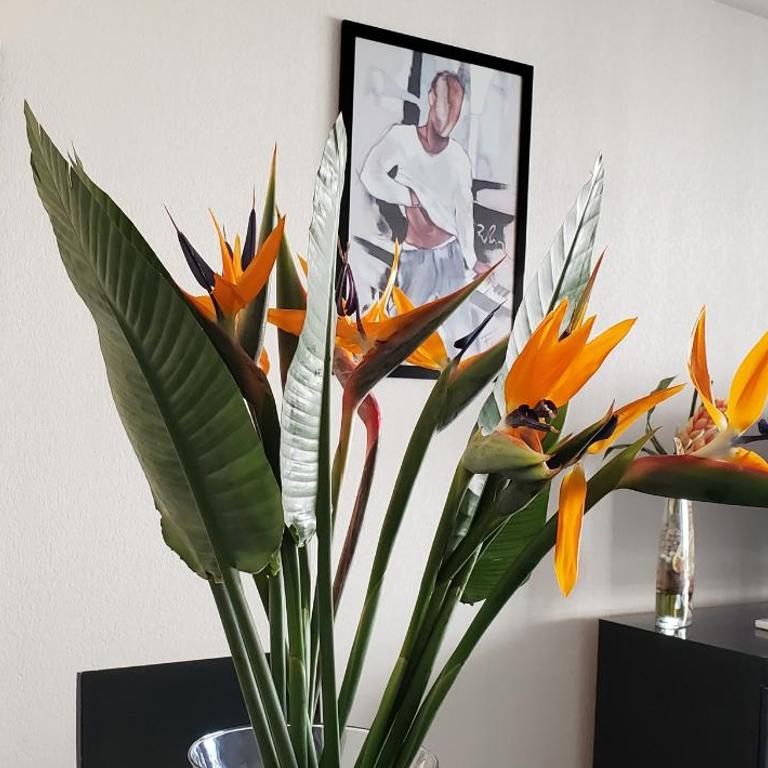 CESAREE BORGHESE, Port Frejus, Grand 2-3 pieces, 4 - Apartamento con balcón - 16