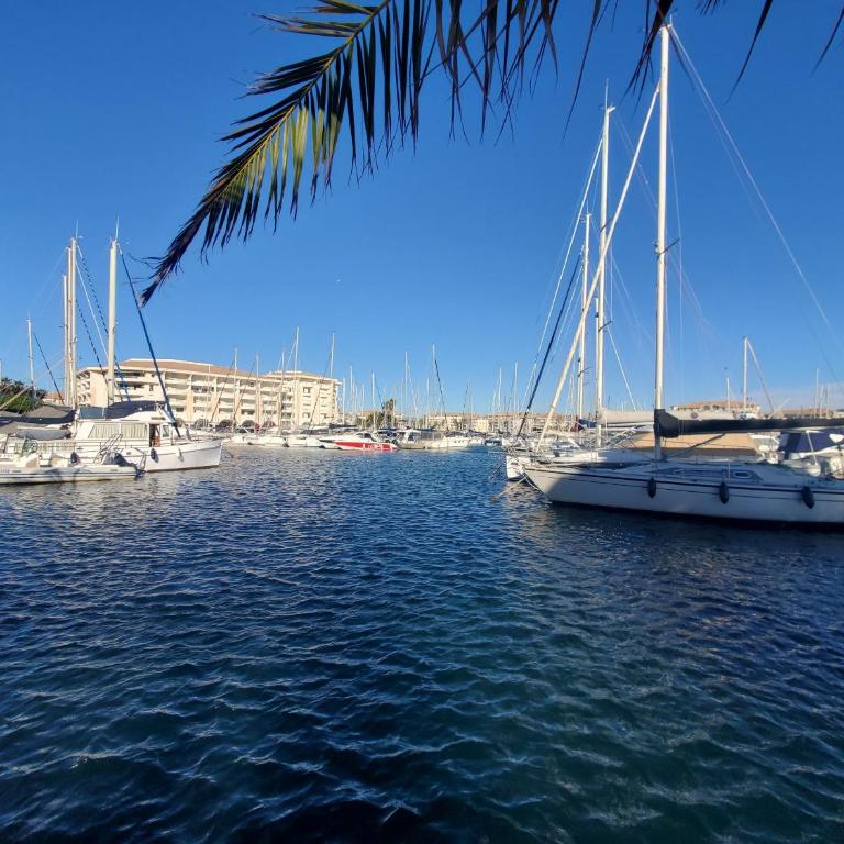 CESAREE BORGHESE, Port Frejus, Grand 2-3 pieces, 4 - Apartamento con balcón - 24