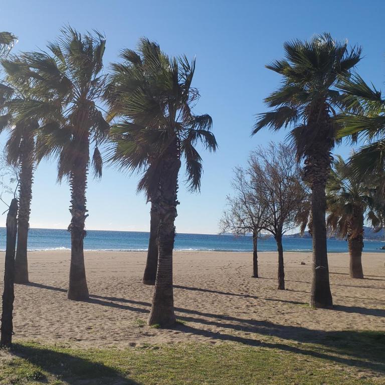 CESAREE BORGHESE, Port Frejus, Grand 2-3 pieces, 4 - Apartamento con balcón - 25